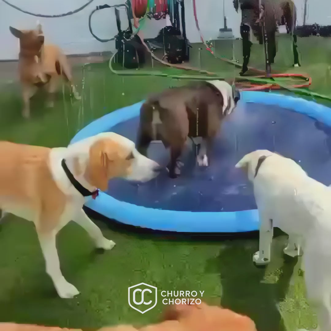 Piscina Splash FRESKITO™ - Splash Pad para Perros y Niños (100 / 150 / 170 cm)
